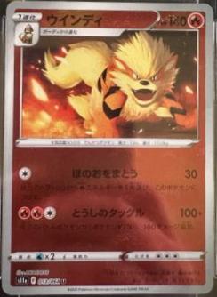 Arcanine [Reverse Holo]